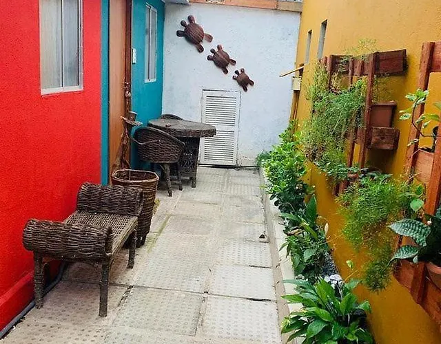 Portal Cores Pôrto das Galinhas